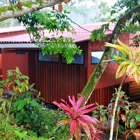 Вилла Casitas Eco Bambu Картаго Экстерьер фото