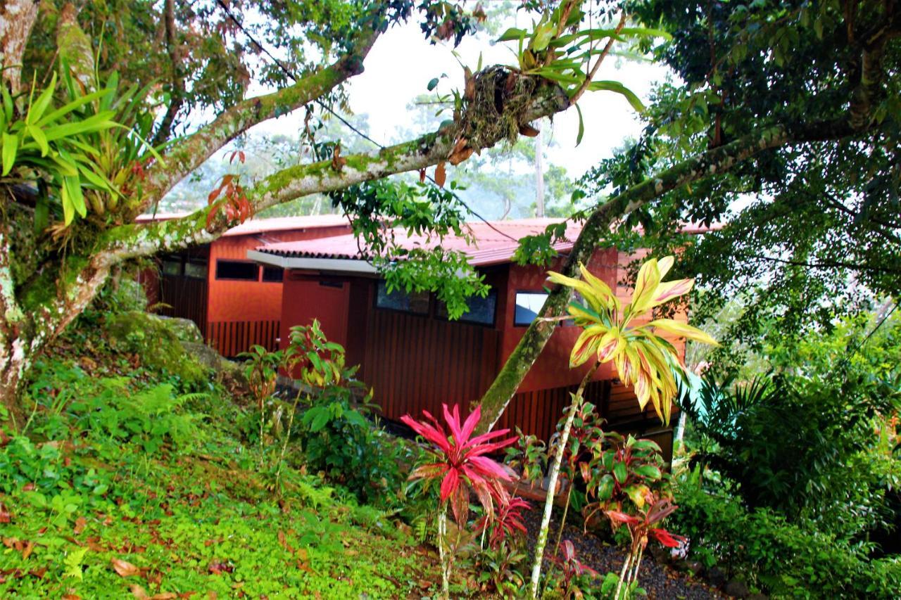 Вилла Casitas Eco Bambu Картаго Экстерьер фото