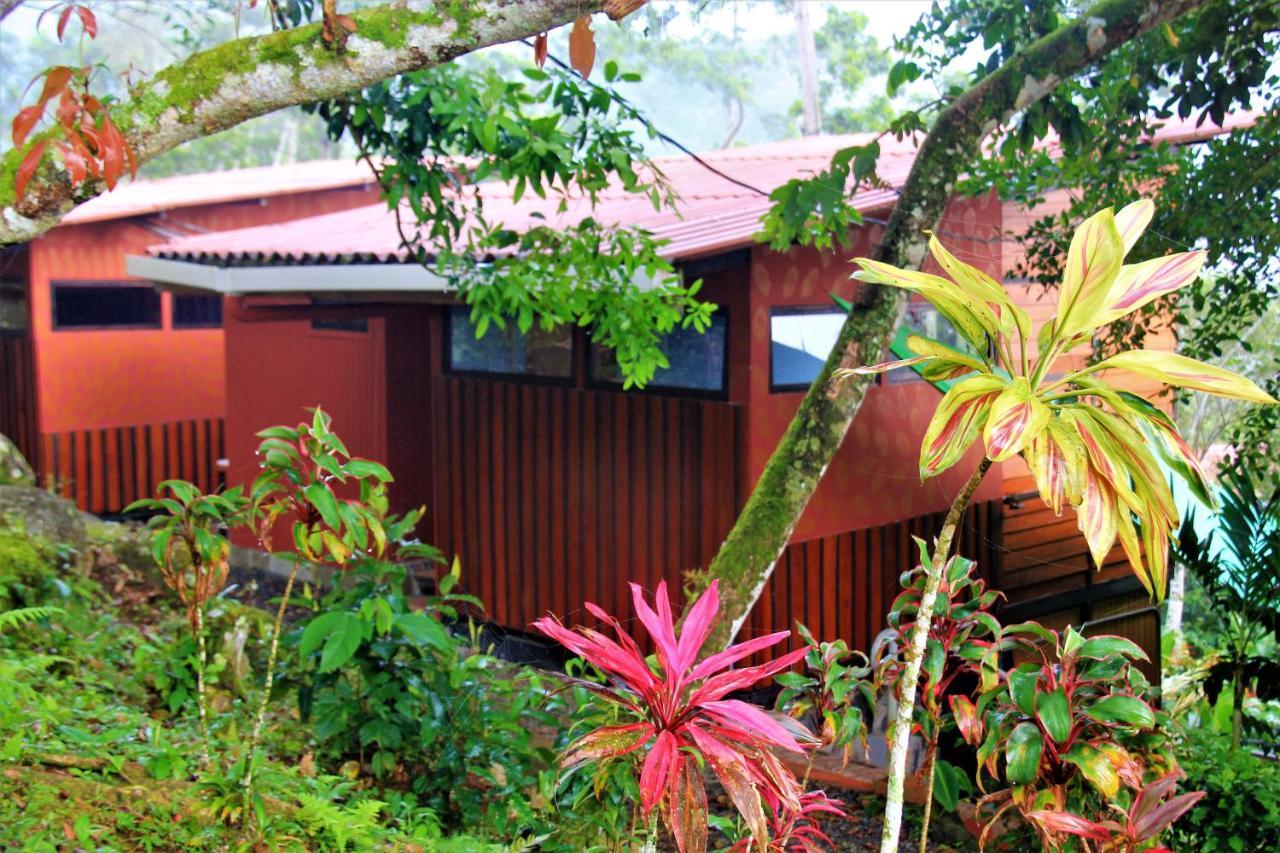 Вилла Casitas Eco Bambu Картаго Экстерьер фото