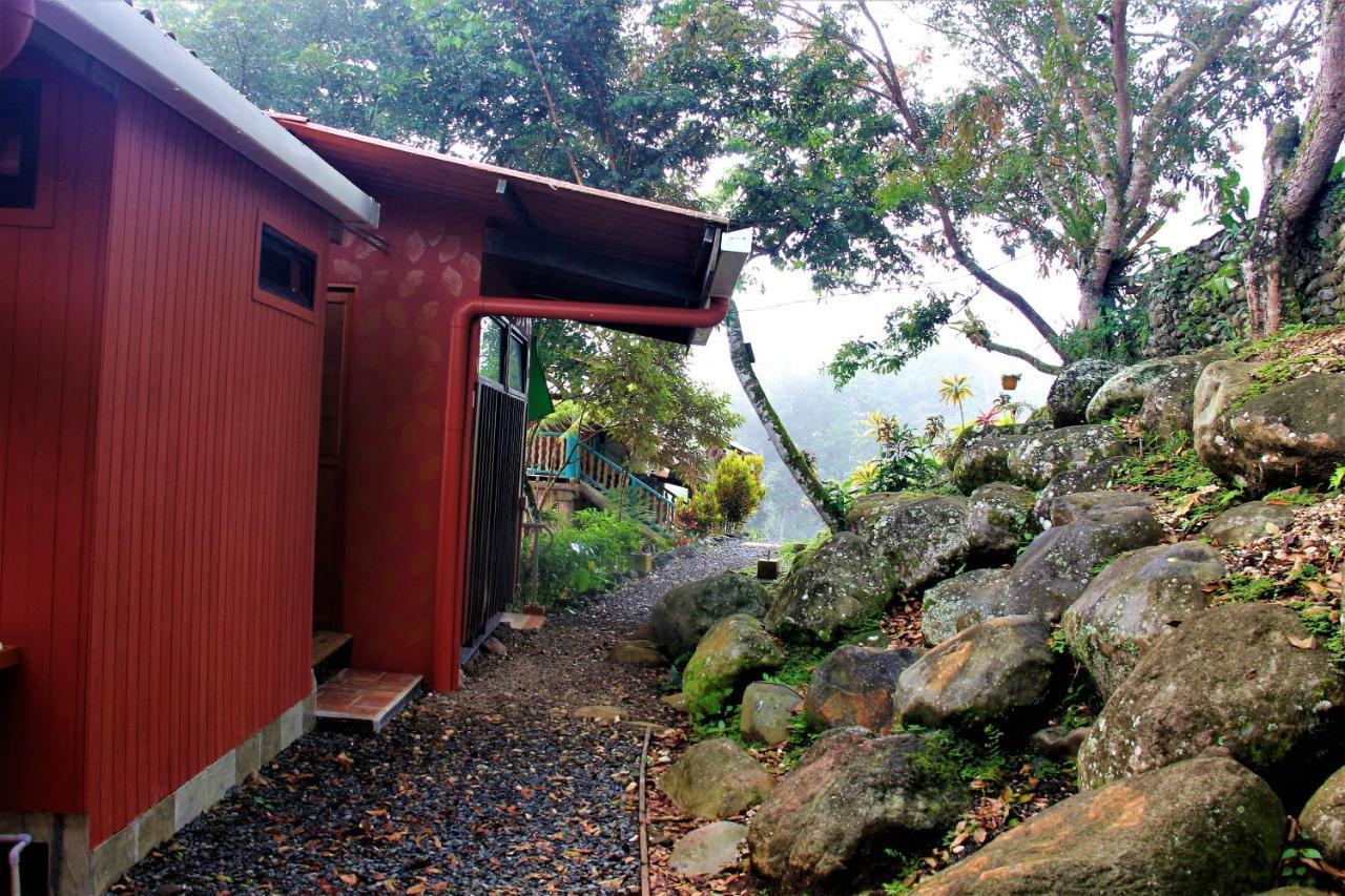 Вилла Casitas Eco Bambu Картаго Экстерьер фото