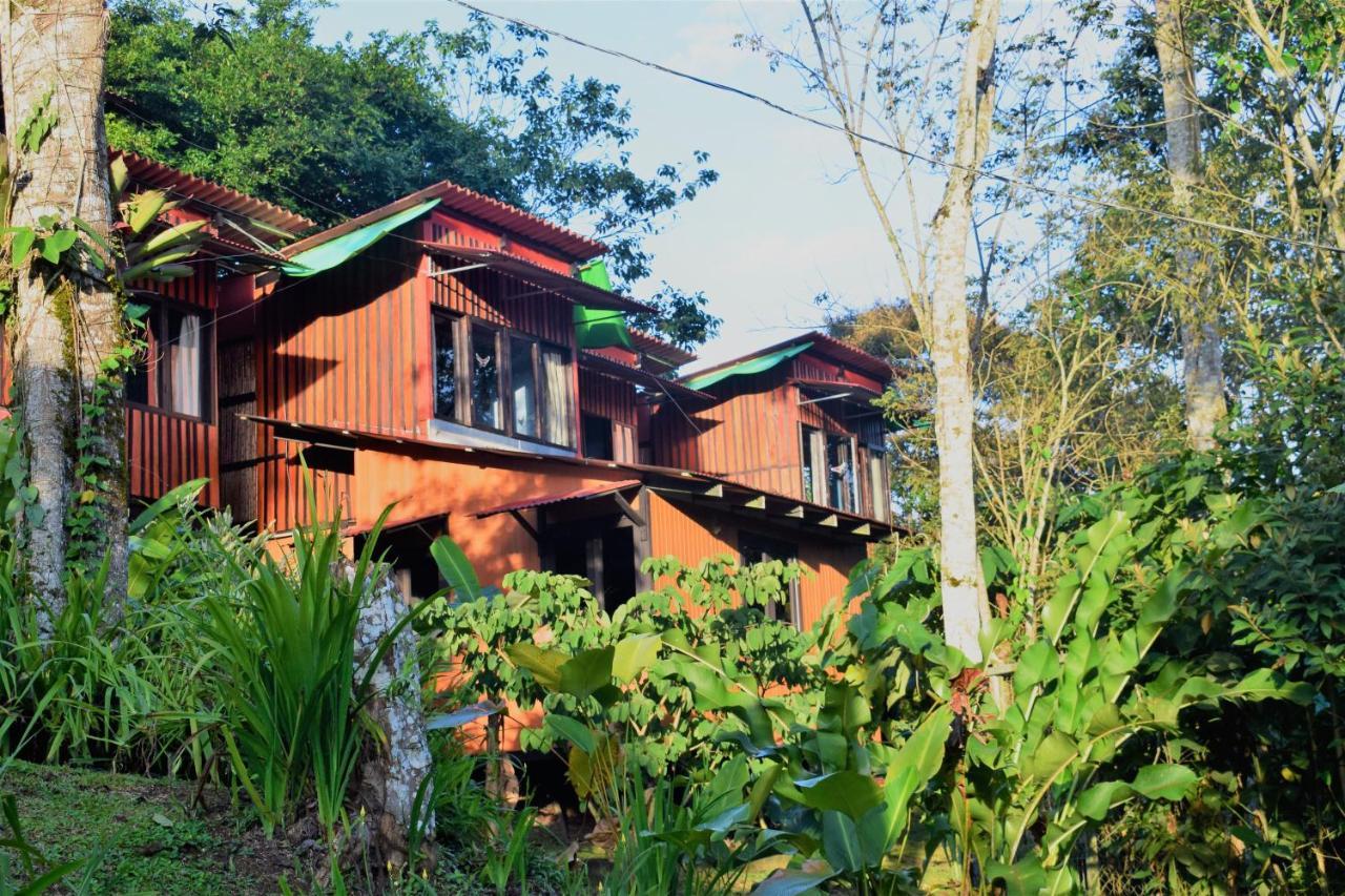 Вилла Casitas Eco Bambu Картаго Экстерьер фото